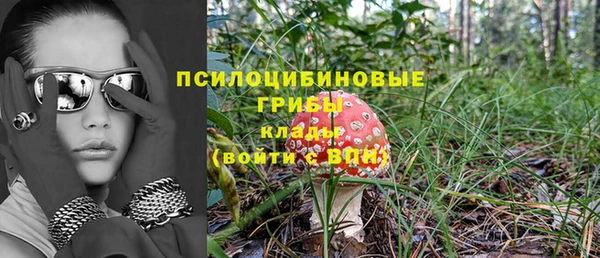 меф Белокуриха