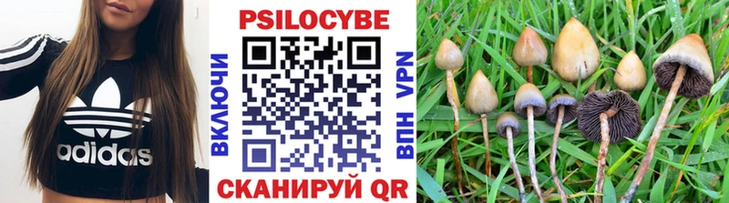 МЕГА вход  цена наркотик  Кущёвская  Псилоцибиновые грибы мицелий 